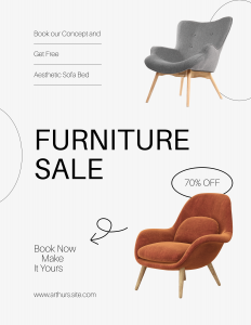 furniture store (1)